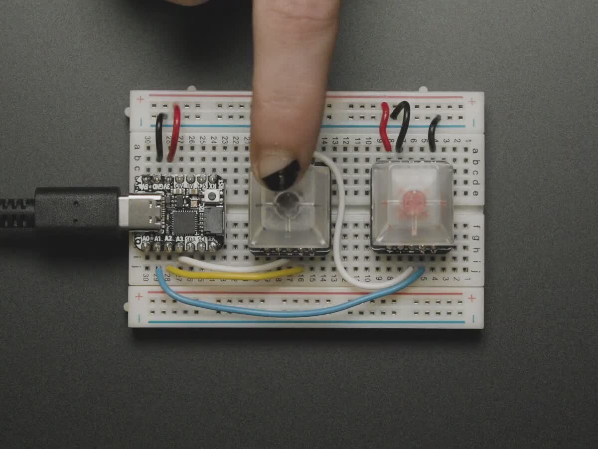 Adafruit NeoKey Socket Breakout for Mechanical Key Switches med NeoPixel 4978