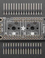 Adafruit NeoKey FeatherWing Two Mechanical Key Switches med NeoPixels 4979