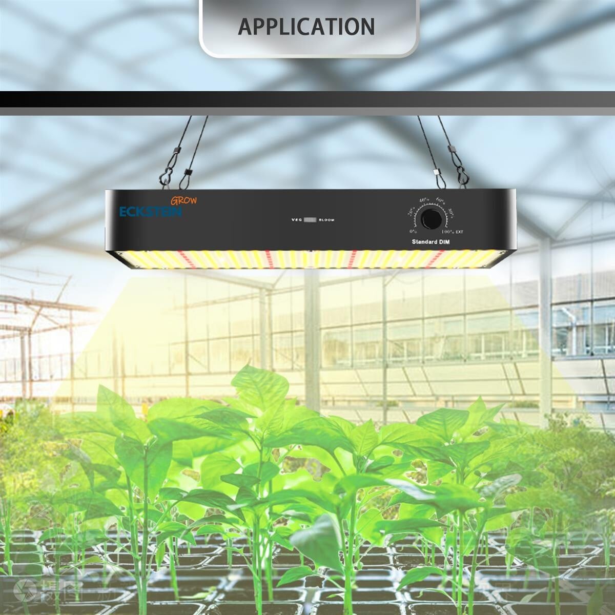 PB1000W LED-vækstlampe, PPFD, fuldspektrum, justerbar, høj lysudbytte, dual mode, plantelys
