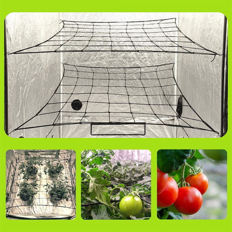 Planteklatrenet, Ranknet, Støtte til planter, 50x50 cm, Elastisk gitternet, have net, støtte net, plantestøtter til drivhuse, blomster og planter