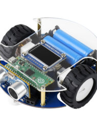 WaveShare PicoGo Mobilrobot uden fjernbetjening via Raspberry Pi