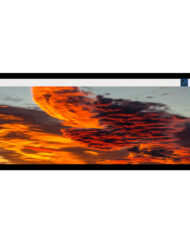 WaveShare 7,9 Zoll Kapazitiver Touch-Display für Raspberry Pi 400x1280 IPS DSI Interface