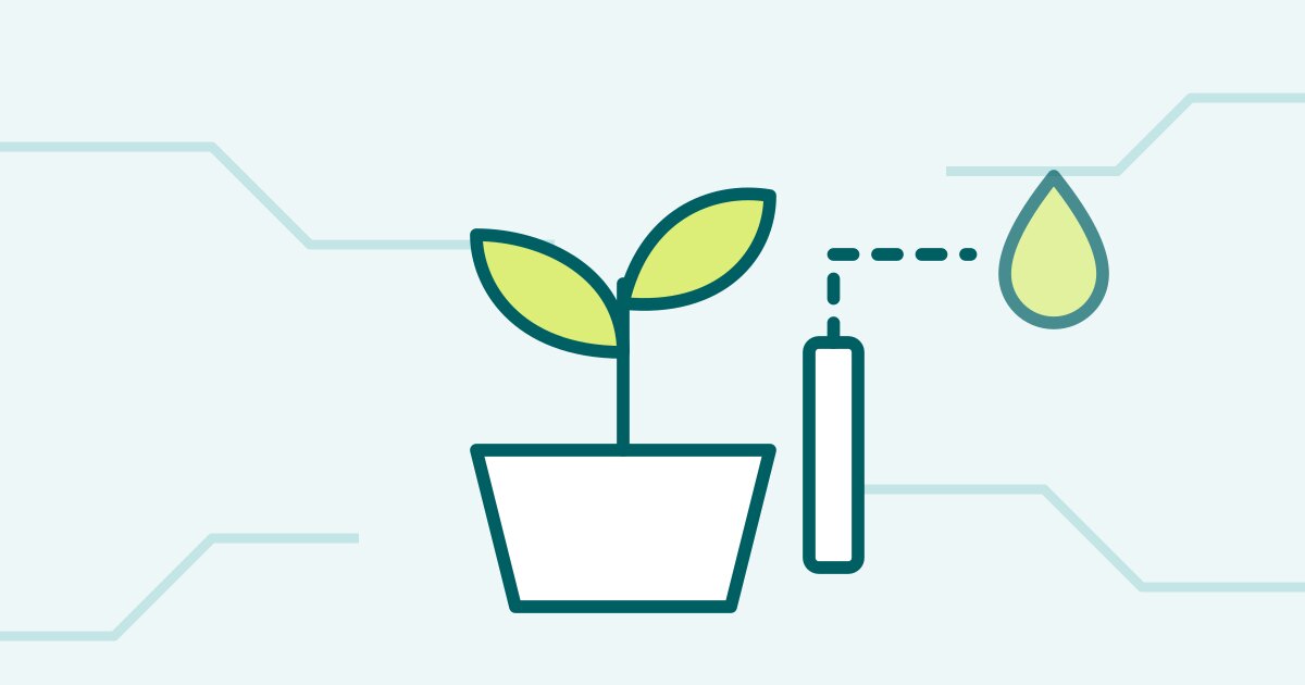 Illustration: Plantevagt: få besked, når planten er tørstig